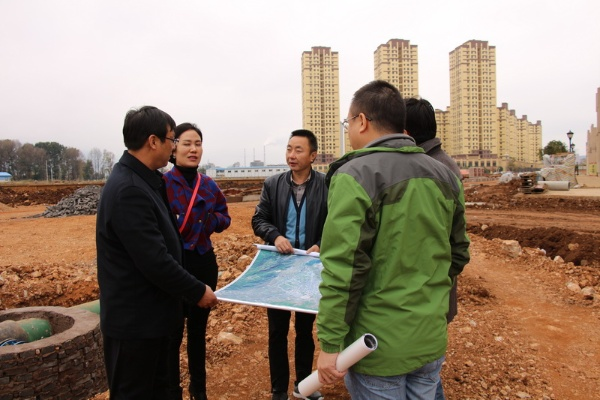 官方玩友下载,实地执行考察设计 完整版_v1.329