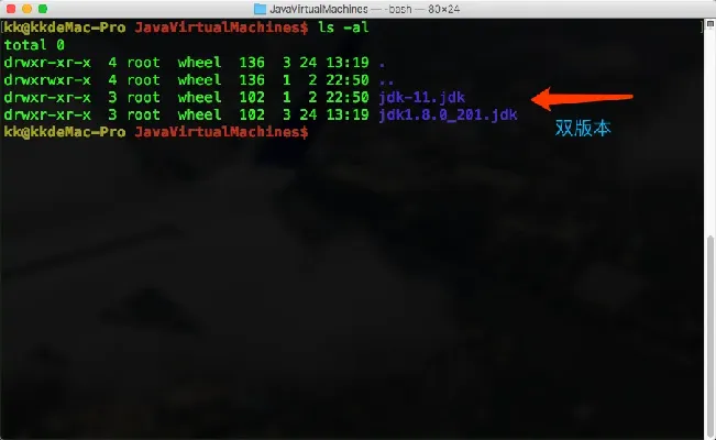 JDK官方文档下载与丛林法则在Mac上的免激活码体验，功能差异、安装注意事项与优化体验评测