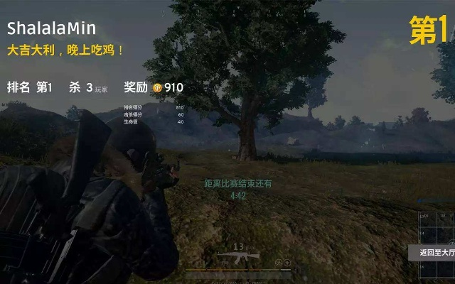 单机版旧吃鸡及怎样下载官方净网卫士,可靠评估说明&amp;3D_v6.773